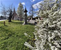 Veľkonočné stromy